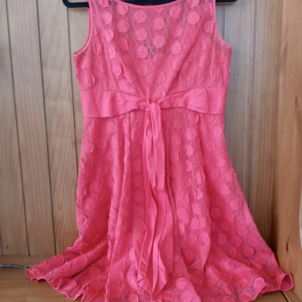 Vintage dress